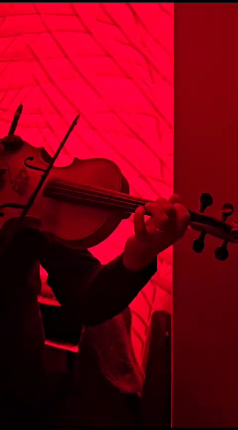 Violinë solo në një ambient intim